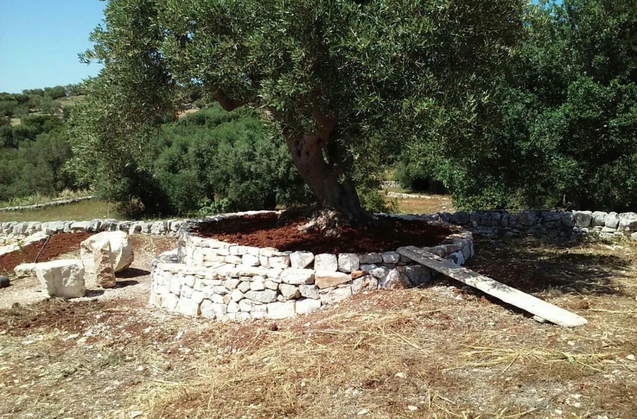 Vila Trullo Alto Salento Cisternino Exteriér fotografie